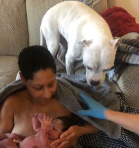 new parent just after birth holding newborn with dog watching