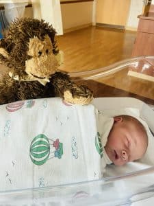 Newborn baby in hospital bassinet with stuffed animal monkey